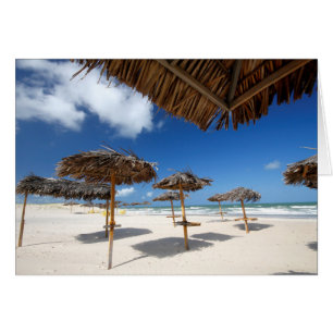 Beach Huts  Brazil