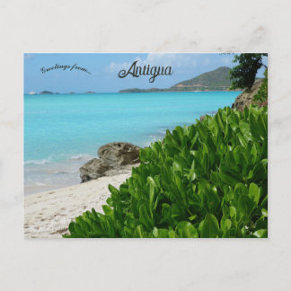 Beach in Antigua Postcard