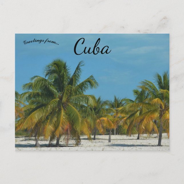 Beach in Cuba Postcard (Front)