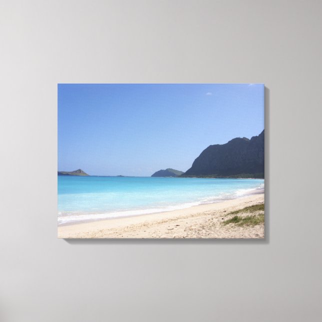 Beach in Hawaii Canvas Print (Front)