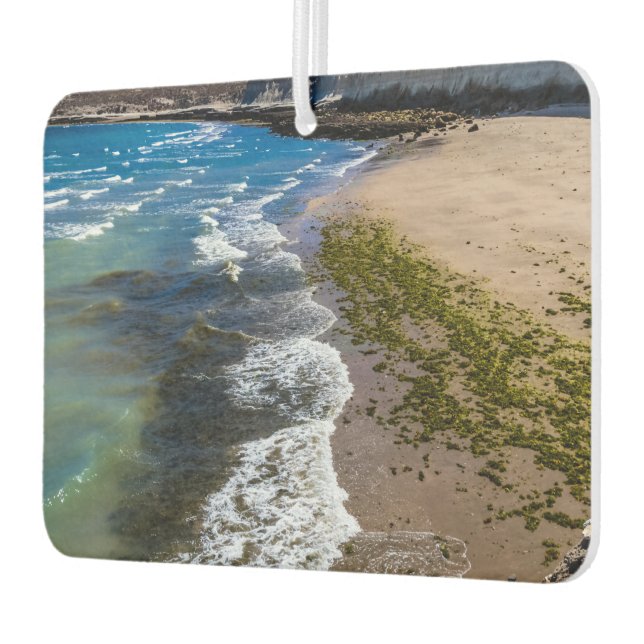 Beach in Puerto Piramides, Argentina Car Air Freshener (Left)