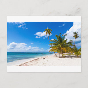 Beach in Saona Dominican Republic Postcard
