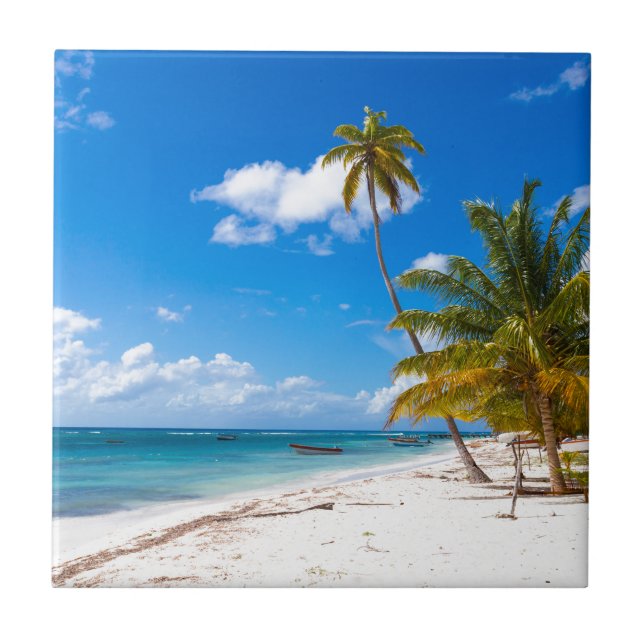 Beach in Saona Dominican Republic Tile (Front)