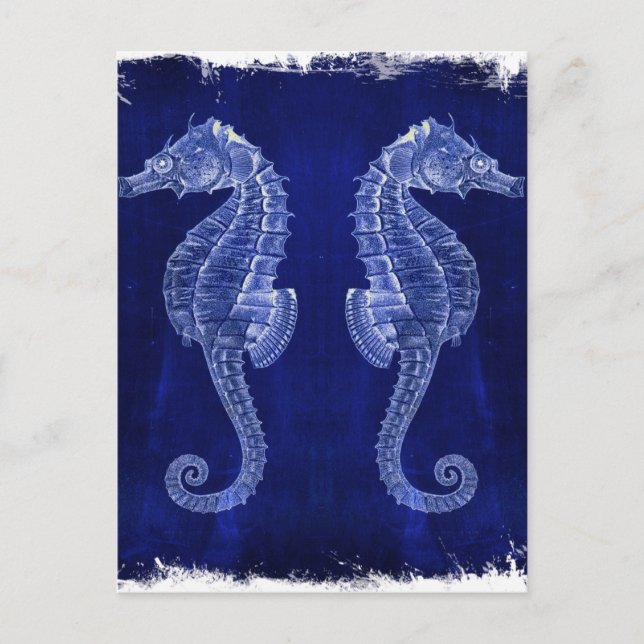 beach lover coastal ocean blue seahorses postcard (Front)