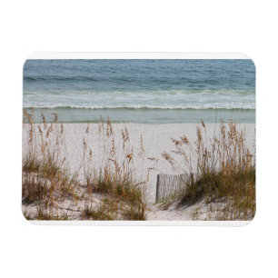 Beach, Ocean, Grass Magnet