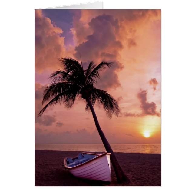 Beach, ocean, palm tree, boat and sunset (Front)