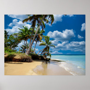 Beach Ocean Photo 168 Poster