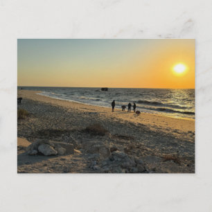 Beach Ocean Sunset Postcard