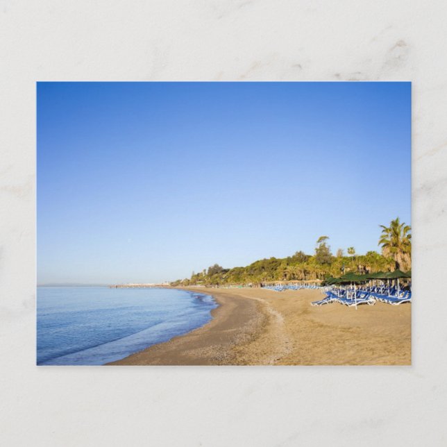 Beach on Costa del Sol in Marbella Postcard (Front)