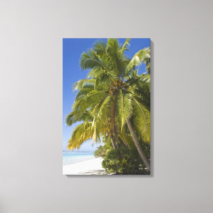 Beach on One Foot island, Aitutaki, Cook Islands Canvas Print