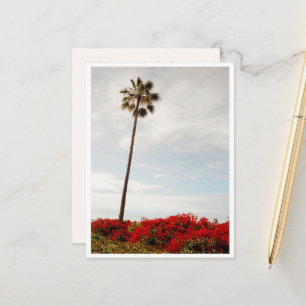 Beach Palm Tree Colourful Spring Floral Los Angele Postcard