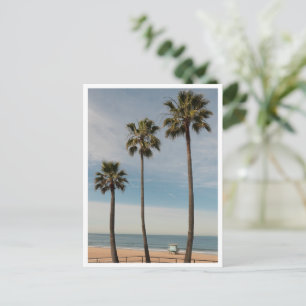 Beach Palm Trees & Lifeguard Tower Los Angeles Postcard