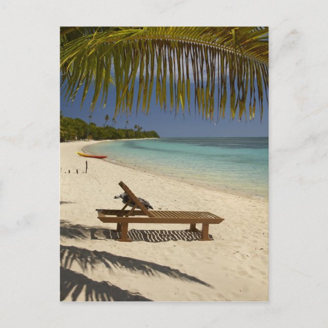 Beach, palm trees & lounger postcard (Front)