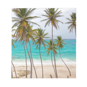 Beach Palms Notepad