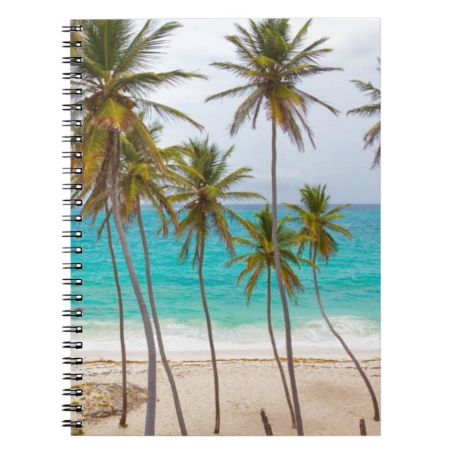 Beach Palms Spiral Notebook (Front)