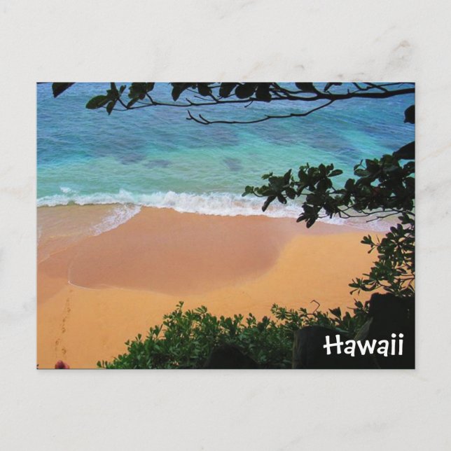 beach paradise hawaii postcard (Front)