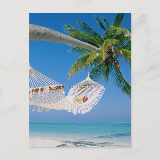 Beach Paradise Vacation Hammock Postcard (Front)