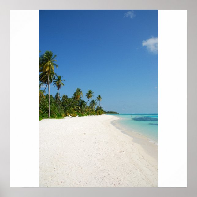 Beach paradise with palm trees poster (Front)