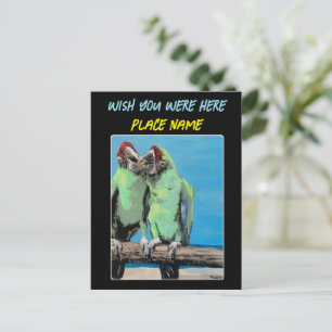 ‘Beach Parrots’ Painting on a  Postcard