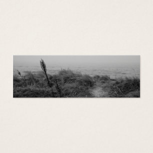 Beach path