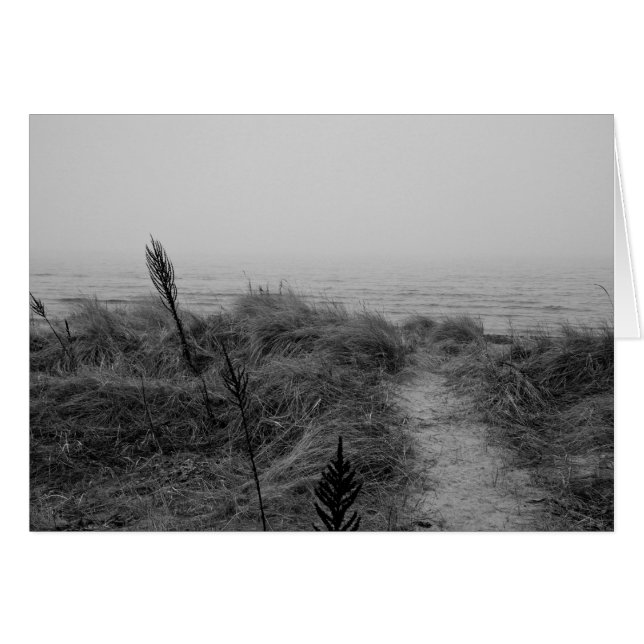 Beach path (Front Horizontal)