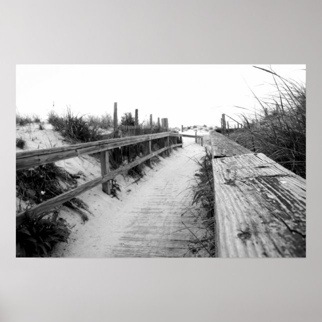 Beach Path Photo Print (Front)