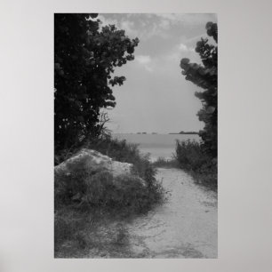 Beach Path Poster