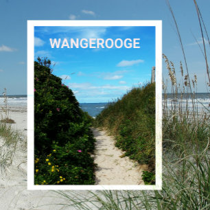 Beach Path, Sand Dunes, Wangerooge, East Frisia Postcard