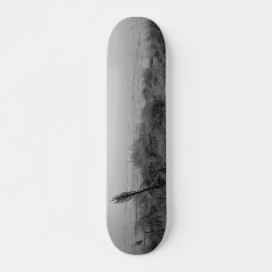 Beach path skateboard