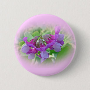 Beach Pea - Lathyrus japonicus - Wildflower 6 Cm Round Badge
