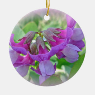 Beach Pea - Lathyrus japonicus - Wildflower Ceramic Tree Decoration