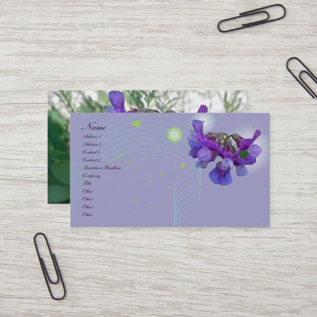 Beach Pea (Lathyrus maritimus) Business Card (Front/Back In Situ)