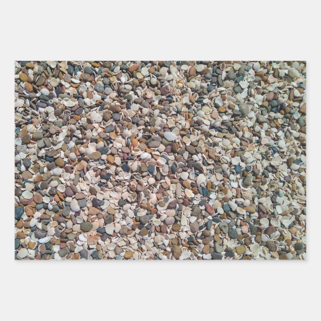 Beach pebbles and shells pattern wrapping paper sheet (Front)