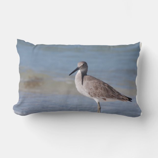 Beach Plover Lumbar Cushion (Front)