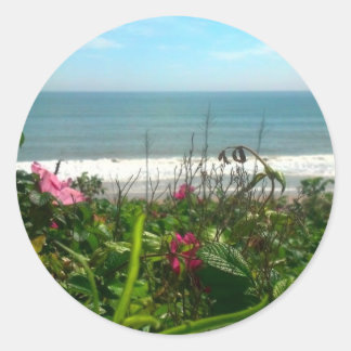 Beach Plum Beach Bum Classic Round Sticker