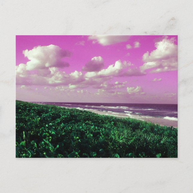 beach post card (Front)