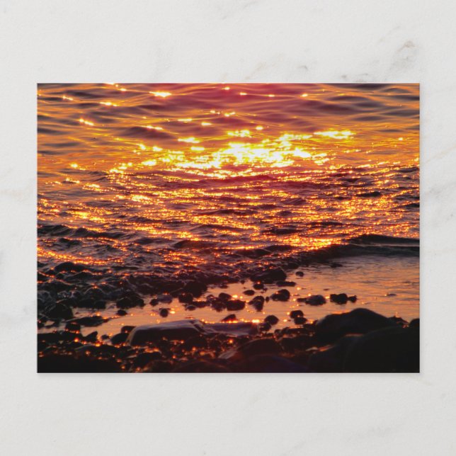 BEACH POSTCARD (Front)