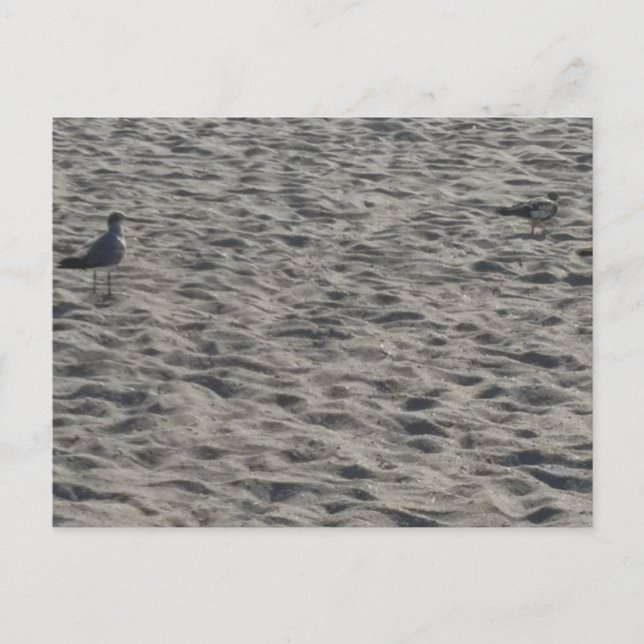 Beach Postcard (Front)