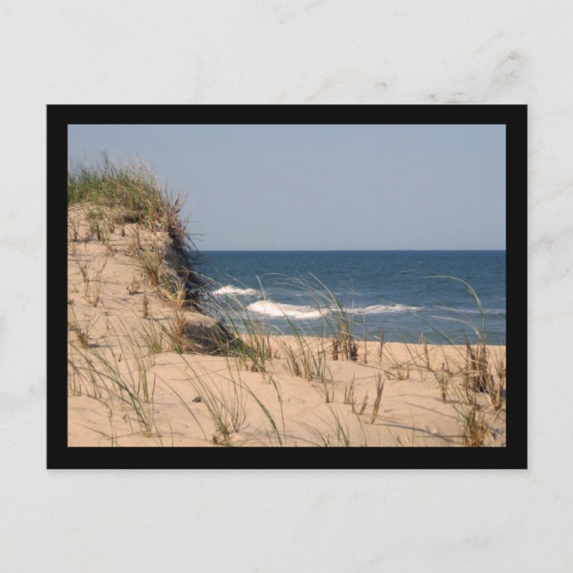 Beach Postcard (Front)