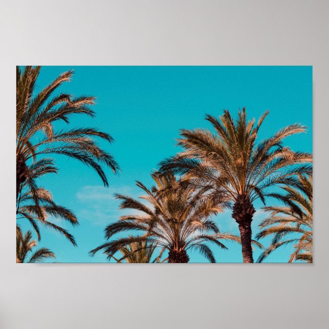 Beach  poster (Front)