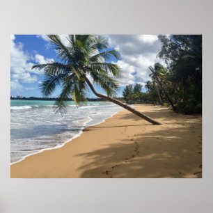 beach poster