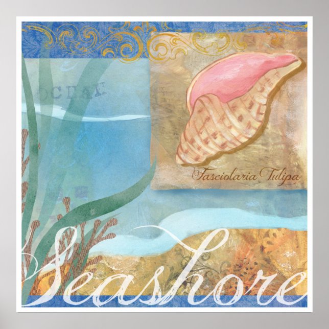 Beach Poster IV, "Seashore with Tulip Shell" (Front)
