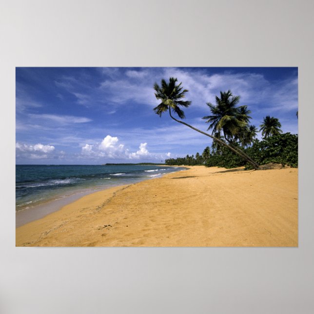 Beach Puerto Rico 2 Poster (Front)