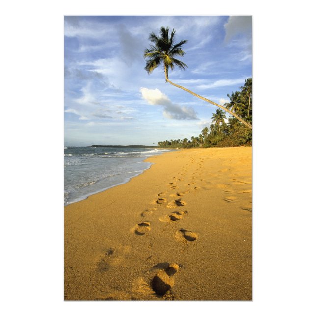Beach Puerto Rico Photo Print (Front)