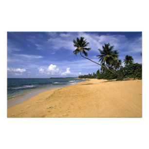 Beach Puerto Rico Photo Print