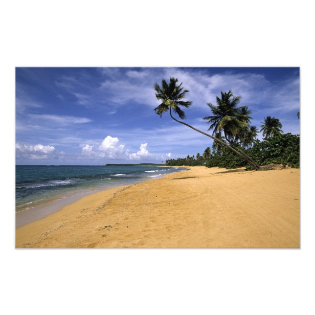 Beach Puerto Rico Photo Print (Front)