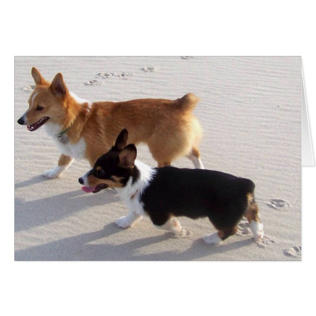 Beach Puppies (Front Horizontal)