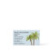 Beach Real Estate Palm Trees Design