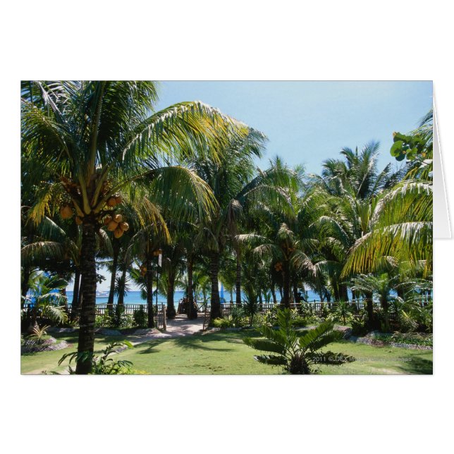 Beach resort (Front Horizontal)