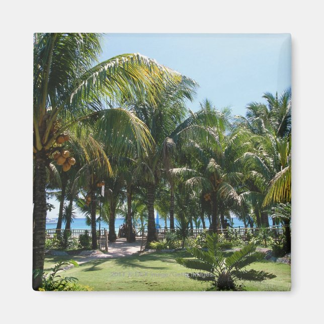 Beach resort magnet (Front)